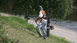Vilniaus vadovai tikisi, kad atsiras mokančių ir norinčių pagelbėti &scaron;ienaujant žolę.