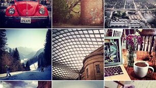 Instagram programėlė &bdquo;Windows Phone&ldquo;