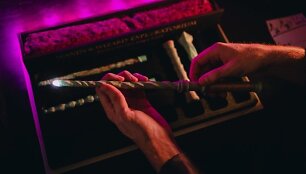 &bdquo;The Wands and Wizard Exploratorium&ldquo; muziejus