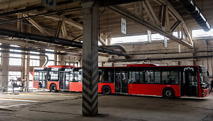 Vilniaus autobusų parkas