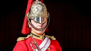 Geriausios &scaron;ių metų kariuomenės nuotraukos