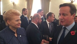 Dalia Grybauskaitė ir Didžiosios Britanijos premjeras Deividas Cameronas