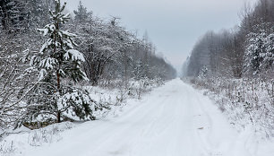 Dzūkijos  kaimuose ir miškuose - tylus žiemos metas