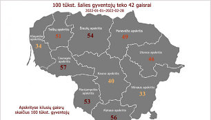 Gaisrų statistika