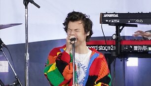 Harry Stylesas