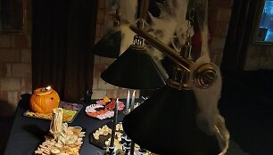 Živilės Barzdaitytės 31-ojo gimtadienio &scaron;ventė