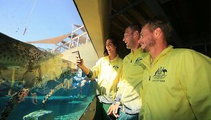 Australijos rinktinė Darvino krokodilų parke