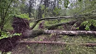 Audra Baltarusijoje: kru&scaron;a ir viesulas