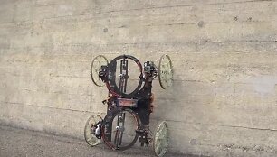 Robotas