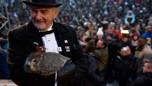 &Scaron;vilpikas Philas
