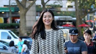 Liu Wen