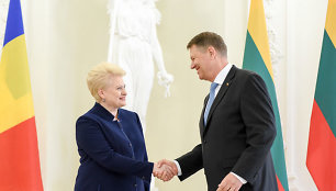 D.Grybauskaitės ir Klauso Iohanisso susitikimas