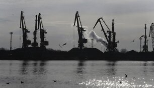 BNS nuotr.