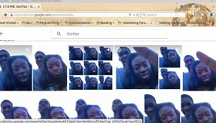 „Google“ veidų atpažinimo funcija juodaodžius palaikė gorilomis