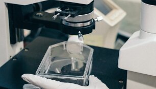 Darbas laboratorijoje