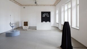 Gravitacinės estetikos laboratorija. Arno Anskaičio nuotr.