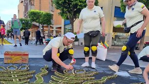 Mitkaičių kaimo bendruomenė dalyvauja Italijoje vykstančiame floristinių ornamentinių kilimų festivalyje
