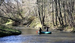 Mokslininkų tyrimo objektas – lašišų migracija