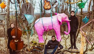 &bdquo;The Pink Elephant&ldquo;