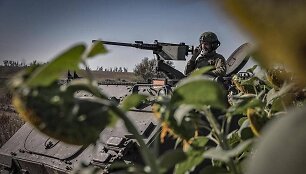 Ukrainos karys