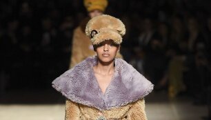 &bdquo;Miu Miu&ldquo; 2017&ndash;2018 m. rudens-žiemos kolekcijos modelis