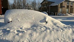 Apsnigta Plungė.  2026 m. Sausio 04 d. 