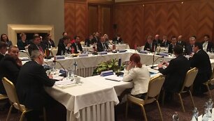 Slovakijos kurorte &Scaron;trbske Plese kovo 12&ndash;13 dienomis susitikę dvylikos &scaron;alių &ndash; &Scaron;iaurės, Baltijos ir Vi&scaron;egrado valstybių &ndash; užsienio reikalų ministrai ir viceministrai i&scaron;rei&scaron;kė paramą naujai kuriamai Europos energetikos sąjungai, kurią susitikimo metu pristatė Europos Komisijos vicepirmininkas Maro&scaron;as