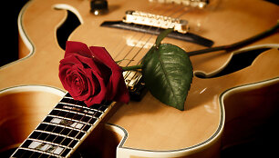 Gitara.