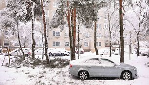 Gausus sniegas laužo medžių &scaron;akas