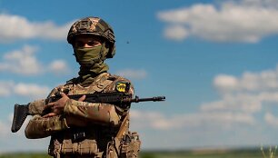 Ukrainos karys