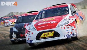 Žaidimo „Dirt 4“ kadras