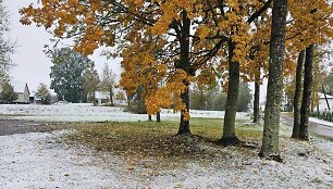 Penktadienio, spalio 20-osios, sniegas Lazdijų rajone