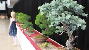 II-asis Japonijos kultūros festivalis