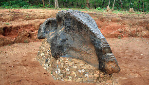 800 Mbozi meteoritas Tanzanijoje 