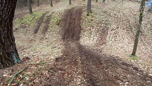 Kejėnų piliakalnis, Dubysos RP