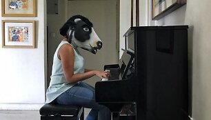 Ar karvės Indijoje rūpi labiau nei moterys?
