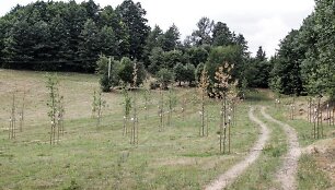 Lietuvos 100-mečio parkas Alytuje