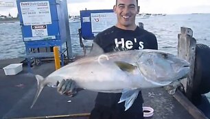 Geltonuodegė (Amberjack)