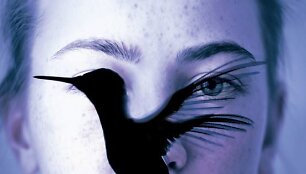 K.Hiekkapelto detektyvas &bdquo;Kolibris&ldquo;