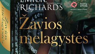 Knygos vir&scaron;elis