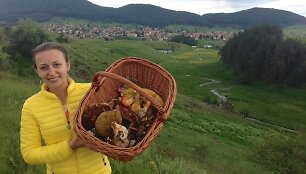 Karoli&scaron;koji musmirė puikuojasi Virginijos pririnktų grybų krep&scaron;io viduryje
