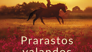 Karen White &bdquo;Prarastos valandos&ldquo;