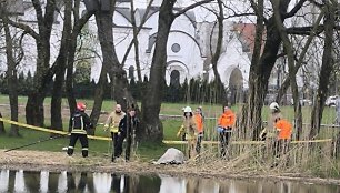 Iš tvenkinio Žardininkų rajone ištrauktas skenduolis