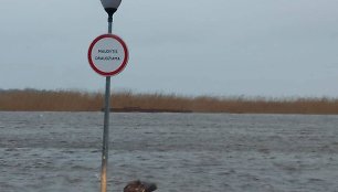 Drevernoje pakilęs Kuršių marių vanduo apsėmė namus