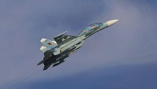 Baltarusijos Su-27 likus dienai katastrofos Radomo aviacijos parodoje 2009 m.