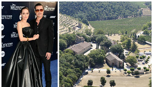 Angelinos Jolie ir Brado Pitto dvaras „Chateau Miraval“ Provanse