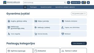 Naujo Elektroninių valdžios vartų portalo vaizdas