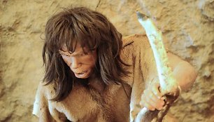 Neandertalietis