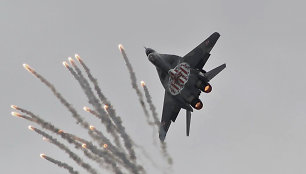 Polish Air Force MiG-29, Andrius Rapševičius, Lithuanian Planespotters