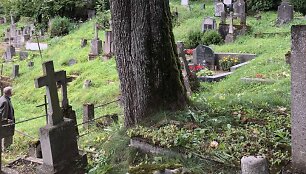 Kapavietes ardantis klevas Vilniaus Saulės kapinėse
